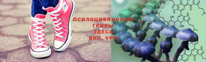 купить  сайты  гидра вход  Псилоцибиновые грибы MAGIC MUSHROOMS  Горняк 